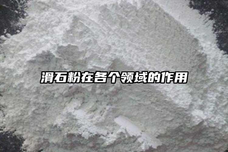 滑石粉在各個領(lǐng)域的作用