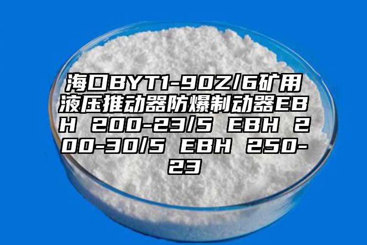 ?？贐YT1-90Z/6礦用液壓推動(dòng)器防爆制動(dòng)器EBH 200-23/5 EBH 200-30/5 EBH 250-23